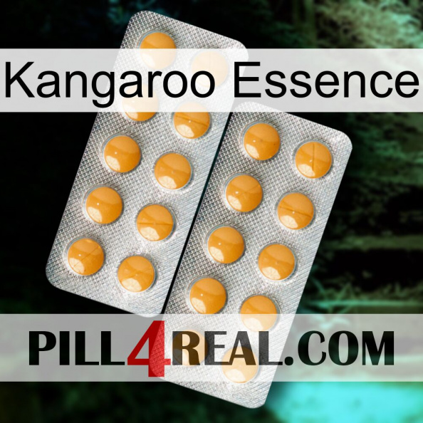 Kangaroo Essence levitra2.jpg